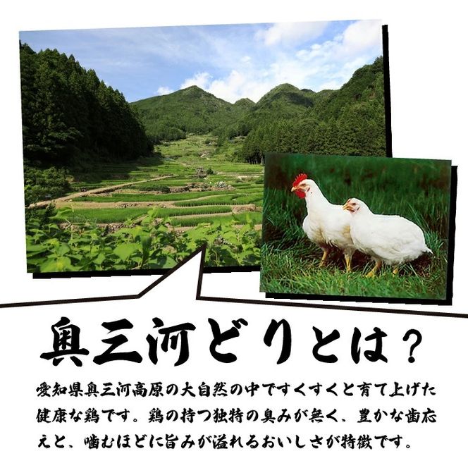 【調理済】奥三河どりの串焼き 20本（塩）選べる4種 各5本