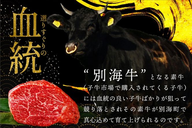 別海牛生ハンバーグ1.8kg（150g×12個）