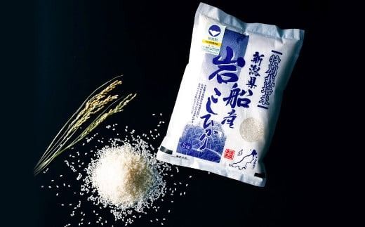 【令和7年産米】特別栽培米 新潟県村上市岩船産 コシヒカリ 5kg 1029003
