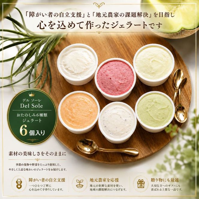デルソーレ　ジェラート★大人気！旬の6種詰め合せ★（6個入り）セット 袋井市