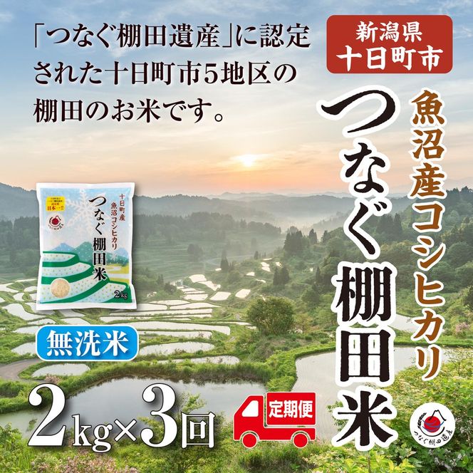 【令和8年産 先行予約】【定期便／全3回】無洗米2kg　新潟県十日町市魚沼産コシヒカリ「つなぐ棚田米」 米 こしひかり 無洗米 定期 十日町市