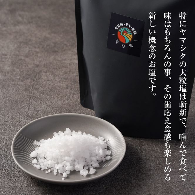 淡路島海塩 TEN-PI-EN 大粒1kg（500g×2袋）