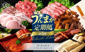 【定期便全5回】"志”あふれるバラエティBコース！志布志うんまか定期便 t0090-009
