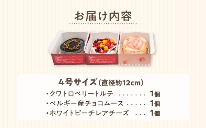 フルーツ / チョコムース / レアチーズ ホールケーキ 3種 冷凍 糸島市 / 五洋食品産業 [AQD017] お祝い バースデー クリスマス 誕生日ケーキ 冷凍ケーキ 詰め合わせ