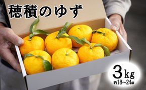 【２０２６年発送分】富士川町産 ゆず 約３kg　産地直送 穂積の柚子 マーマレードにも 柚子 ユズ 山梨 やまなし 富士川町【A5403】