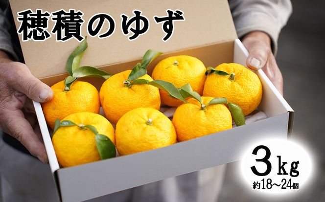 【２０２６年発送分】富士川町産 ゆず 約３kg　産地直送 穂積の柚子 マーマレードにも 柚子 ユズ 山梨 やまなし 富士川町【A5403】