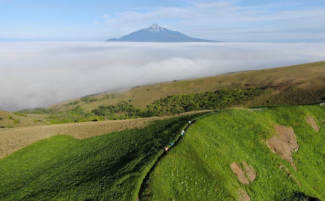 【返礼品なし】北海道 礼文町 ふるさと応援寄附金 100,000円コース ［北海道礼文町］【 寄附のみ 応援 支援 礼文島 地域貢献 自然保護 地方創生 まちづくり ふるさと納税 】