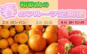 〈定期便〉【2・3・4月 全3回】和歌山の春のフルーツ（ポンカン・清見オレンジ・まりひめ） ◇｜フルーツ ふるーつ 果物 くだもの 詰め合わせ 果物定期便 みかん オレンジ いちご 国産 産地直送 美浜町厳選館 美浜町 ※北海道・沖縄・離島への配送不可