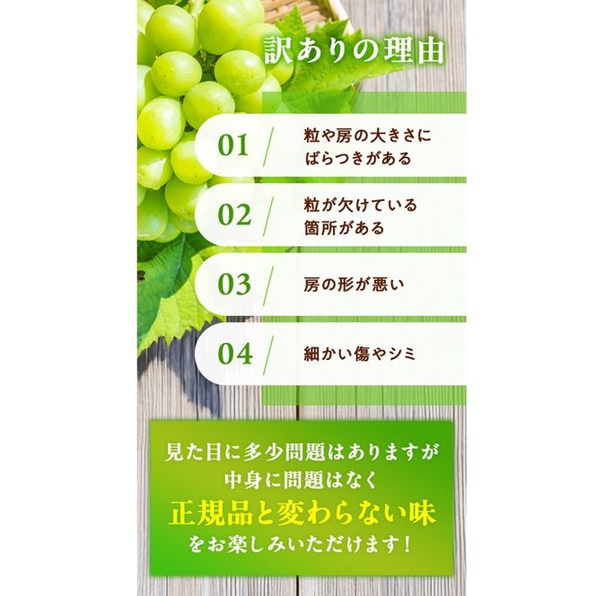 訳あり シャインマスカット 晴王 2～3房 合計1.5kg以上 ぶどう 葡萄 シャイン マスカット 岡山 岡山県産 桃太郎御一行 2026年 先行予約
