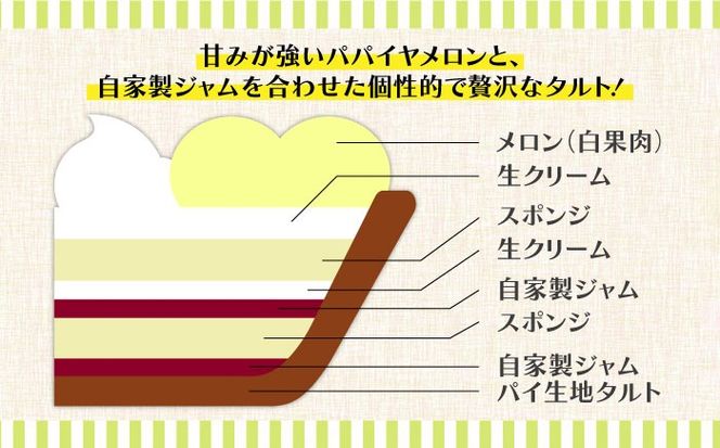 【2025年4月〜発送】【サクサク生地】南島原産パパイヤメロンのタルト / タルト メロン めろん 18cm / 南島原市 / アトリエジジ[SAA026]