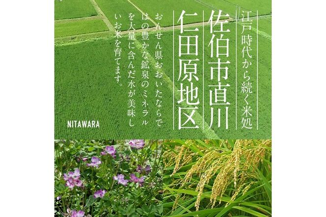 ＜先行予約受付中！2026年11月より発送開始予定＞【令和8年産】減農薬特別栽培米 はなご縁 (計5kg) 米 ひのひかり ヒノヒカリ 精米 白米 大分県産 数量限定 大分県 佐伯市【HD129】【さいき本舗 城下堂】