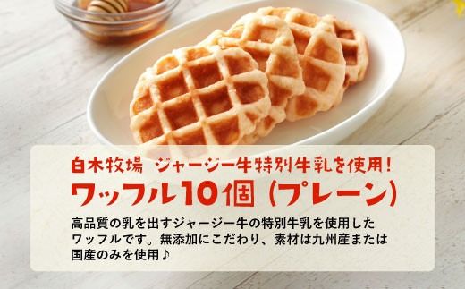 白木牧場 特別 牛乳 を使用した ワッフル ×10個（プレーンのみ）