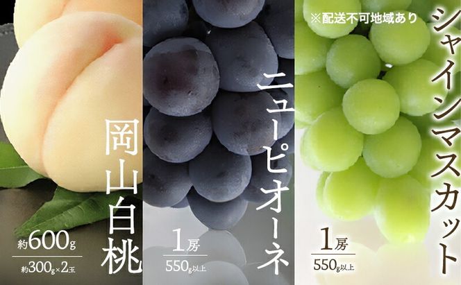 桃 ぶどう 2026年 先行予約 白桃 2玉 合計約600g （1玉約300g） シャインマスカット 晴王 ニューピオーネ 各1房 550g以上 もも 葡萄 詰合せ 岡山 国産 フルーツ 果物 ギフト 桃茂実苑