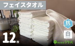 G3240 白タオル12枚（抗ウイルス加工）【泉州タオル 国産 吸水 普段使い シンプル 日用品】