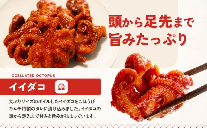 【ごほうびキムチ】イイダコキムチ（5個入り×3袋）【 キムチ 神奈川県 小田原市 】 142069_FZ003