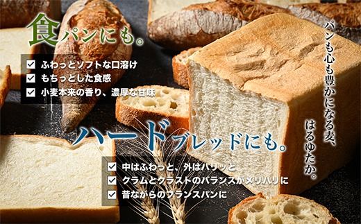 【毎月定期便】北海道産 はるゆたかブレンド小麦粉 シルバーライズ（パン用強力粉）7.5kg 全4回 MROBI030