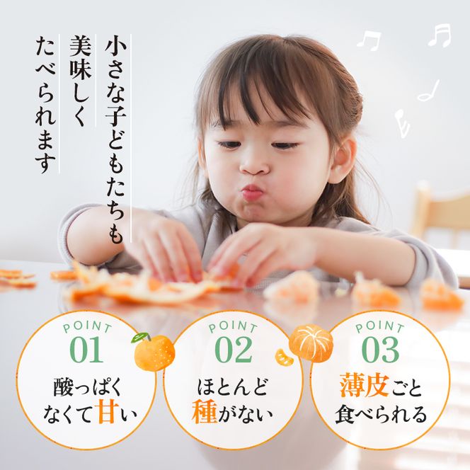 【先行予約・数量限定】地元で大人気の 秀品  せとか  3kg 【M～2Lサイズ混合】【2026年3月中旬から2026年3月下旬頃に順次発送】〈味好農園〉 /ミカン 蜜柑 柑橘 フルーツ くだもの 果