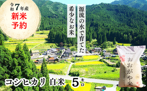 《令和7年産新米予約・10月ごろよりお届け開始》白米 5kg 令和7年産 コシヒカリ 岡山 「おおがや米」生産組合 G-af-AECA