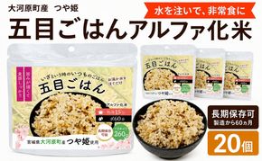 宮城県大河原町産つや姫のアルファ化米 五目ごはん 100g 20袋セット お米 長期保存 非常食 アルファ米 ご飯 ごはん 防災食 備蓄 保存食 常温 つや姫