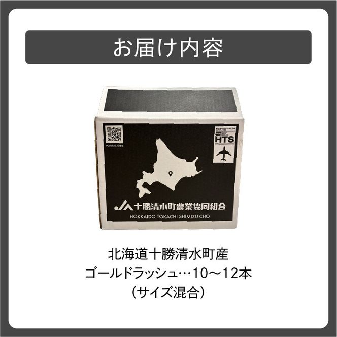【2026年8月～発送開始！】北海道十勝清水町産 黄金の甘さ ゴールドラッシュ！サイズ混合 10～12本 北海道産 2026年 とうもろこし とうきび 産直 産地直送 清水町 北海道_ S021-0019