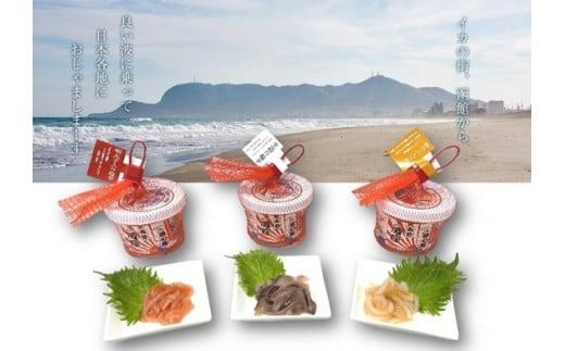 函館　波乗りイカさん４本＆波座塩辛３個セット_HD084-005