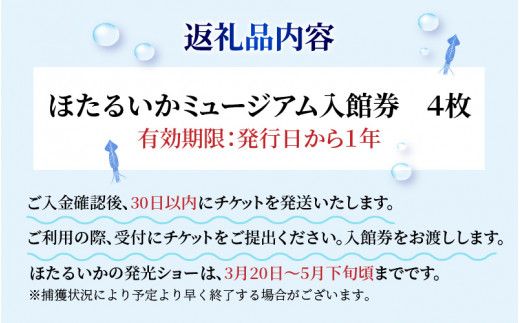 ほたるいかミュージアム入館券 / 4枚