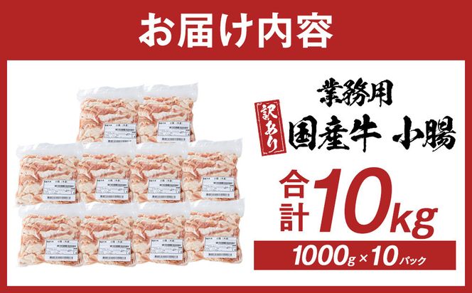 《業務用・訳アリ》国産牛　小腸　10kg 372013_HM182