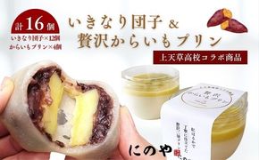 いきなり団子 12個 ＆ 贅沢からいもプリン 4個 【 上天草高校コラボ返礼品 】 合計16個 お菓子 菓子 洋菓子 スイーツ デザート おやつ 冷凍 詰め合わせ 食べ比べ セット