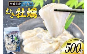 【期間限定発送】 宮城県産 むき牡蠣 生食用 500g×1p [及新 宮城県 南三陸町 30aw0004] かき カキ 牡蠣 生牡蠣 貝 魚介類 剥き身 むき身 殻なし 冷蔵 新鮮 なべ カキフライ 牡蠣ご飯 濃厚