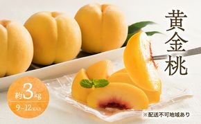 桃 2026年 先行予約 黄金 桃 3kg 9～12玉 もも モモ 岡山 国産 フルーツ 果物 ギフト 桃茂実苑