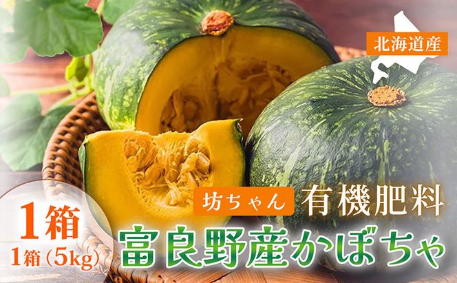 【秋の味覚 北海道産 小玉カボチャ】坊ちゃんカボチャ 無選別 5kg×1箱｜北海道富良野市 9～10月発送 野菜 料理用 家庭用 シェア用 ホクホク 濃厚 甘い 黒皮カボチャ かぼちゃ 坊ちゃんかぼちゃ 南瓜 料理 秋季限定
