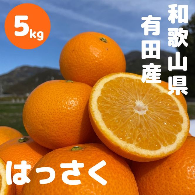 和歌山 有田 はっさく 5kg DJ065