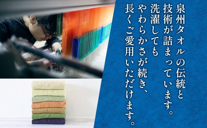 005A734 Solljus ソリュース フェイスタオル レッド 3枚 泉州タオル