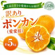 【先行予約】 訳あり ポンカン 約5kg 愛愛柑 9000円 わけあり ぽんかん みかん 蜜柑 果物 くだもの 果実 柑橘 ミカン mikan フルーツ ゼリー ジュース 甘い ジューシー デザート ブランド 特産品 国産 産直 産地直送 糖度 愛媛県 愛南町 フルーツアイランドマルエム直販