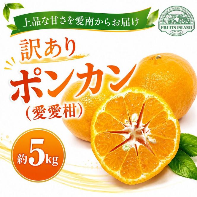 【先行予約】 訳あり ポンカン 約5kg 愛愛柑 9000円 わけあり ぽんかん みかん 蜜柑 果物 くだもの 果実 柑橘 ミカン mikan フルーツ ゼリー ジュース 甘い ジューシー デザート ブランド 特産品 国産 産直 産地直送 糖度 愛媛県 愛南町 フルーツアイランドマルエム直販