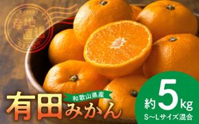 BL6500_【2026年先行予約】産地直送　和歌山県産 有田みかん 5kg