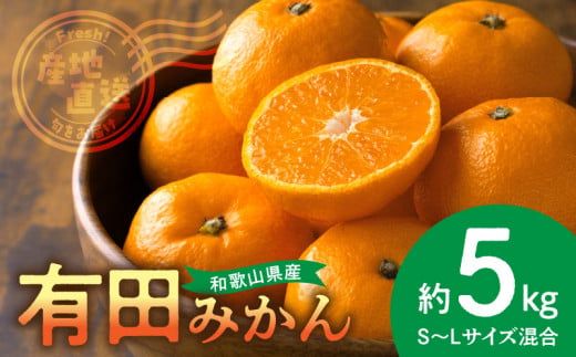 BL6500_【2026年先行予約】産地直送　和歌山県産 有田みかん 5kg
