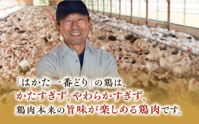 福岡県産銘柄鶏「はかた一番どり」 鶏しゃぶセット(3〜4人前) 《築上町》【株式会社ゼロプラス】[ABDD037]