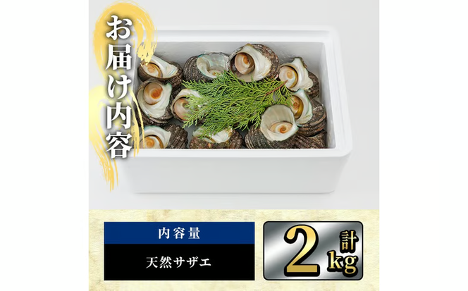 天然 サザエ (計2kg) 活サザエ 魚介 貝 活 活き つぼ焼き 壺焼き バーベキュー BBQ 獲れたて 魚介類 海鮮 おつまみ 魚貝 栄螺 冷蔵 大分県 佐伯市【AS154】【海べ】