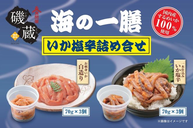 y{錧Csz鑠 C̈V  h lߍ킹 6_ Zbg [鑠 {錧 Cs 20565848] y   CJ  ܂ hg ߂ XCJ