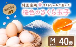 純国産鶏さくらちゃんが産んだ桜色のさくら玉子 五分咲き（Mサイズ）40個 ｜ 卵 鶏卵 たまご タマゴ 生卵 たまごかけご飯 濃厚 甘み 国産