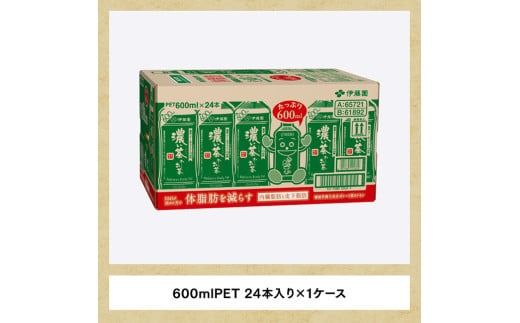 お～いお茶 濃い茶600ml×24本 PET 【 緑茶 お茶 ペットボトル セット 備蓄 ソフトドリンク ケース お～いお茶 】 [D07383]