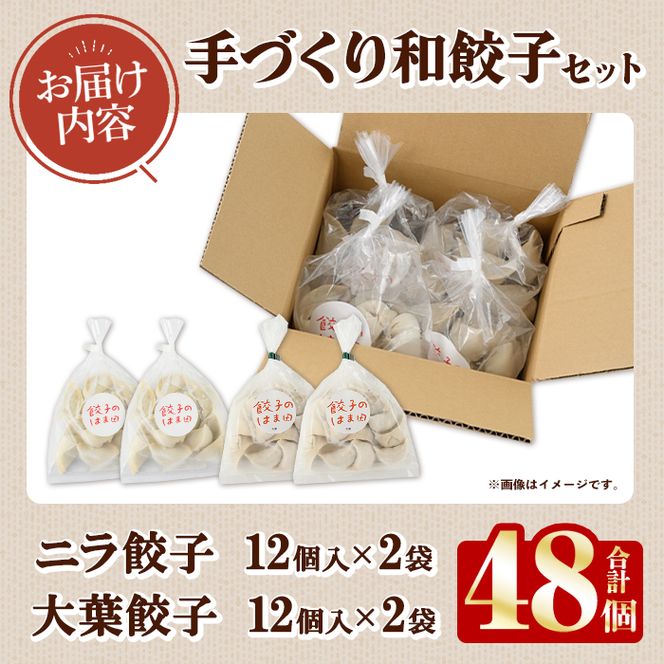 手づくり和餃子セット(ニラ餃子12個入×2袋+大葉餃子12個入×2袋・合計48個) 餃子 生餃子 ギョウザ ぎょうざ ギョーザ セット 詰め合わせ おかず お惣菜 冷凍 和風 水餃子 にら ニラ 大葉 手作り 食べ比べ 【餃子のはま田】akn096-03