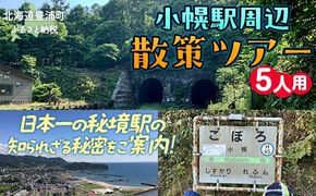小幌駅周辺散策ツアー（5人用） ふるさと納税 人気 おすすめ ランキング 体験 イベント 小幌駅 散策 ガイド 歴史 見学 5人 北海道 豊浦町 送料無料 TYUL029