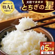 ★新米 令和7年産★ 米 5kg 白米 「とちぎの星」 山﨑観光農園 栃木県 益子町 ふるさと納税 お米 とちぎの星 白米 精米 5キロ 令和7年産 (AU023)
