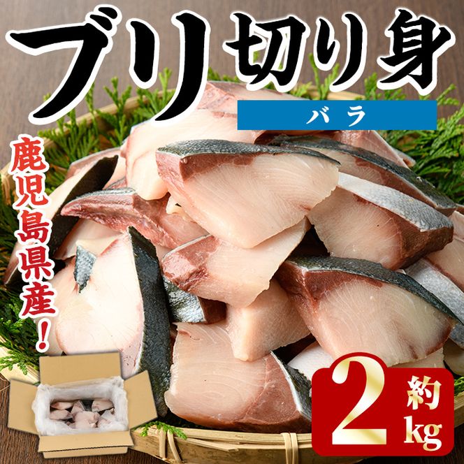 ブリの切り身(バラ・約2kg) 国産 鹿児島県産 ブリ 鰤 魚貝 魚介 海産物 焼き魚 煮つけ ブリカツ バラ 【株式会社島水】akn102-02