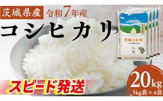 スピード発送!! 【 令和7年産 】 茨城県産 コシヒカリ 20kg ( 5kg × 4袋 ) 米 お米 白米 コメ こしひかり 茨城県 精米 新生活 応援 新米 スピード配送 [DK004ci]