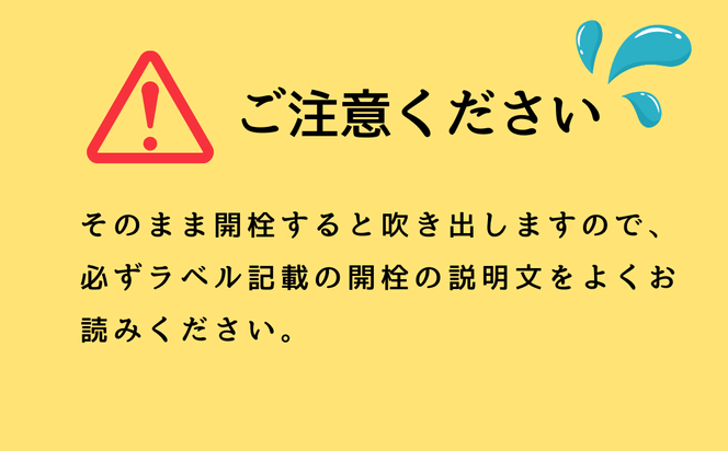 自然の泡に癒される シュワシュワ日本酒！ 北光正宗・純米生 スパークリング　500ml 2本（Bk-012）