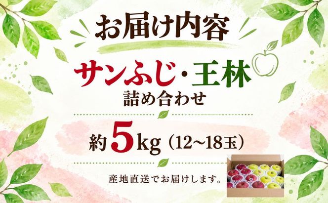 りんご 青森県産 サンふじ 王林 詰合せ セット 約 5kg (12～18玉） フルーツ 果物 ふじ 産地直送 お取り寄せ 送料無料 青森県 鰺ヶ沢町 《木村りんご園》