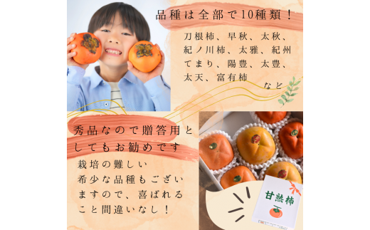 旬の 柿 詰め合わせ 3kg 特秀 / 詰め合わせ かき 甘い 太秋柿 紀ノ川柿 富有柿 早秋柿 3kg 珍しい 希少 和歌山産 ※2026年10月上旬～11月下旬に順次発送【frt504-p-tume-3】